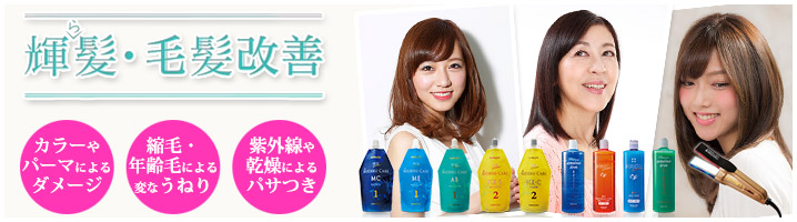輝髪・毛髪改善（キラガミ）